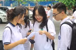 3.351 thí sinh đạt giải trong Kỳ thi chọn HSG quốc gia năm học 2023 - 2024