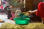 Video: Sốc với "công nghệ" nhuộm cốm xanh bằng phẩm màu