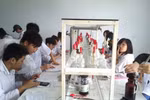 Kiến nghị giao Bộ Giáo dục quản lí đào tạo nghề nghiệp