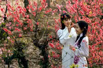 Minh triết mùa xuân