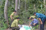 Quy định nhiệm vụ, chế độ, chính sách đối với kiểm lâm 