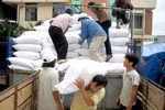 Xuất gạo từ nguồn dự trữ quốc gia cho tỉnh Thanh Hóa
