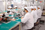 Thủ tướng chỉ đạo hoàn thiện một số dự thảo luật