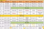 Đưa hoạt động ngoại khóa vào giờ chính khóa, cần xem xét trách nhiệm địa phương