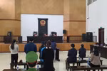Tòa không xem xét xử lý hình sự với người sử dụng bằng giả Đại học Đông Đô
