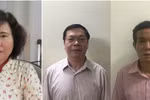 Ông Vũ Huy Hoàng và bà Hồ Thị Kim Thoa bị khởi tố