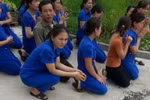 Cho dù có tâm huyết với nghề thì các cô cũng không nên quỳ lạy, van xin