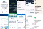 Xuống tiền vì tin GV tiktok, người học 'ngã ngửa' với lớp online của bà Ngọc Anh