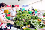 Không để các hợp tác xã tồn tại hình thức