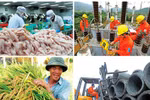 Chính phủ chuẩn bị tổng điều tra kinh tế