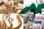 Cần luật chuyên biệt để xử lý nợ xấu