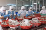  Triển khai thực hiện Hiệp định tạo thuận lợi thương mại WTO