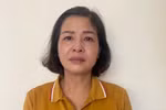 Khởi tố bà Phạm Thị Hằng, nguyên Giám đốc Sở Giáo dục Thanh Hoá cùng 8 đồng phạm