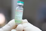 Chính phủ hỗ trợ kinh phí thử nghiệm lâm sàng vaccine COVIVAC