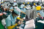 Chương trình hỗ trợ phát triển thị trường lao động đến năm 2030