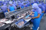 Tăng lương tối thiểu vùng từ ngày 1/1/2019