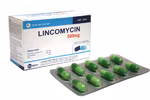 Cục Quản lý Dược yêu cầu truy tìm thuốc Lincomycin 500mg giả 