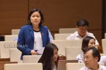 Phải nhìn nhận thực tế, giáo viên khó sống chân chính được bằng nghề