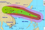 Bàn giải pháp chủ động ứng phó cơn bão Mangkhut