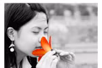 Chùm ảnh: Tháng Ba, miên man hoa gạo đỏ
