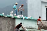 Diễn biến mới nhất của bão số 14: 6 người chết, hơn 30 người bị thương