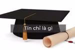Vì sao Hội nghị hiệu trưởng năm 1987 đặt vấn đề phải chuyển sang hệ tín chỉ? 