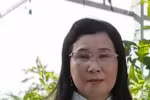 Sở Nội vụ Kiên Giang yêu cầu huyện Vĩnh Thuận giải quyết chế độ của giáo viên