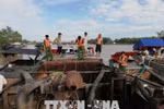 Tăng cường thanh tra, kiểm tra trong lĩnh vực môi trường