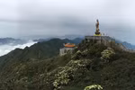Nóng như thế này, sao phải ở thành phố?