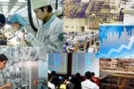 Thủ tướng yêu cầu đẩy mạnh cải thiện môi trường kinh doanh
