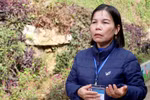 Gần 30 năm “ươm mầm trên đá” và ký ức về những ngày nằm nghe mưa rừng mà tủi