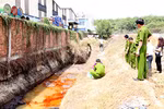 Xử lý nghiêm mọi hành vi gây ô nhiễm môi trường