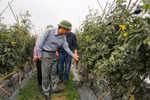 Thành lập Khu nông nghiệp ứng dụng công nghệ cao Quảng Ninh diện tích 106 ha