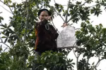 Những cụ bà khiến dân mạng 'không thể không like'