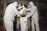 Bác sĩ đầu tiên tử vong vì cúm gia cầm H7N9