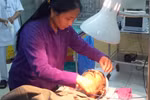 Vợ bí thư xã chém người dã man