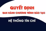 Tổ chức đào tạo tín chỉ phù hợp với cách tiếp cận phát triển năng lực 