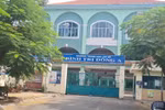 (ảnh minh họa: P.L)