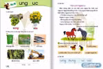 (Ảnh: Tùng Dương). 
