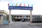 Nghiệm thu bàn giao chất lượng học sinh ở cấp tiểu học đang rất hình thức
