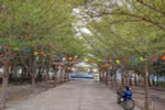Ảnh tác giả