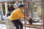 Chuyên án giải cứu 11 cá thể động vật hoang dã trong sách đỏ
