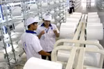 Sợi Việt Nam tiếp tục bị kiện bán phá giá tại Ấn Độ