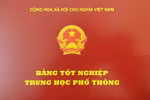 Từ nay giao cấp phôi bằng phổ thông cho Cục quản lý chất lượng