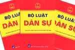 Làm luật – chuyên nghiệp hay nghiệp dư?