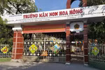 Cựu hiệu trưởng Trường mầm non Hoa Hồng lĩnh 16 tháng tù giam