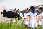 Rạng rỡ Vươn cao Việt Nam