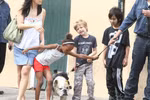 Nhà Jolie - Pitt: Mỗi người một nơi