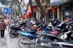 Hà Nội và cây gia phả của dòng họ “Không vội”