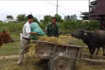 Cán bộ, đảng viên là phải gương mẫu, đi đầu